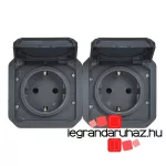 Legrand Plexo 55 2x2P+F elővezetékezett vízszintes csatlakozóaljzat csapófedéllel, antracit, Legrand 069879L