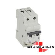 Kétpólusú kismegszakító