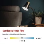 EMOS Tara fekete LED asztali lámpa hajlékony nyakkal, Z7641B