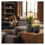 EMOS Z7901, LED növénynevelő lámpa, teljes spektrum, 15 LED, beltéri, időzítővel