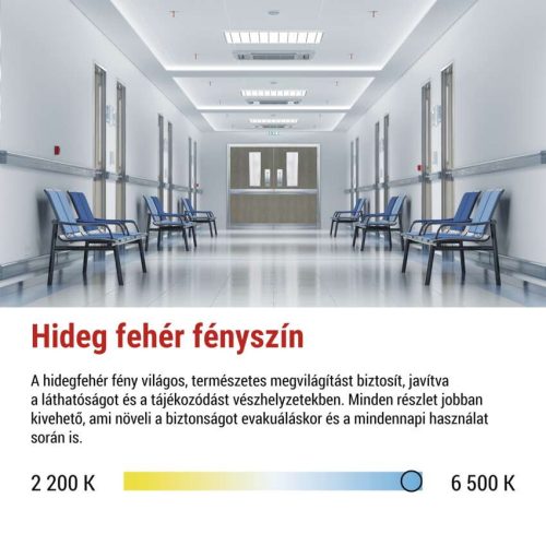 EMOS ZN2120, EMOS LED vészvilágító lámpatest NESSI 3W 3 óra IP66